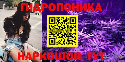 эйфоретик Свободный