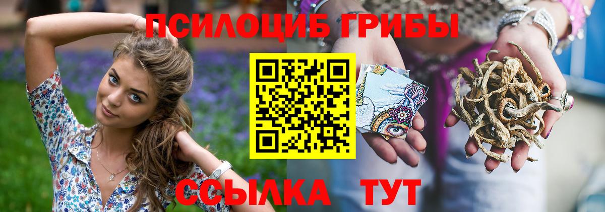 Псилоцибиновые грибы Psilocybe  Вход с VPN  Галлюциногенные грибы Cubensis  Орск 
